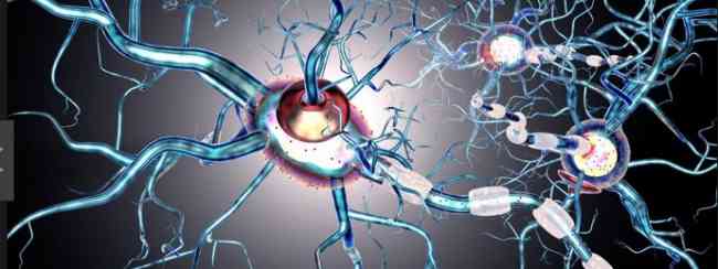 MS stem cell treatment breakthrough in Australian trial